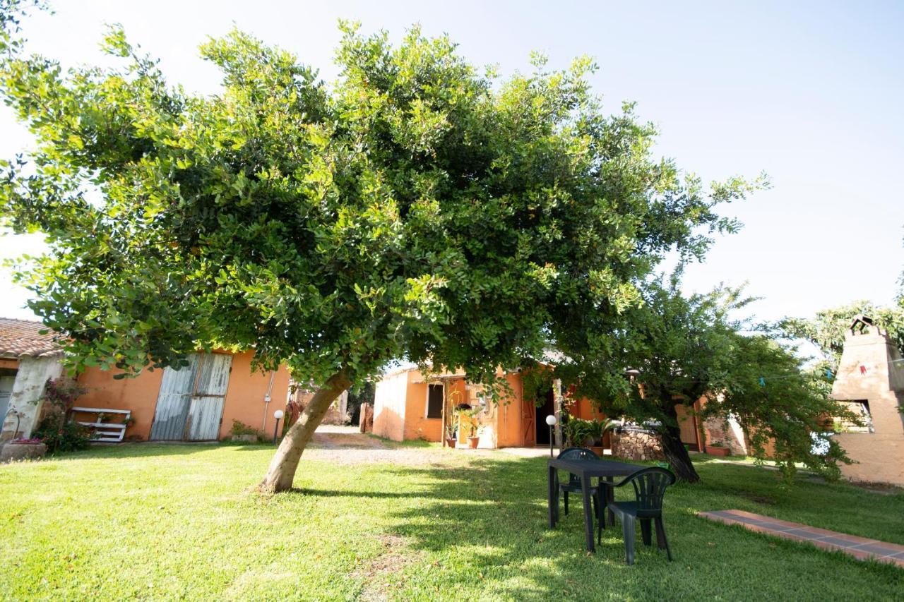 Is Cuccus Bed & Breakfast Masainas Ngoại thất bức ảnh
