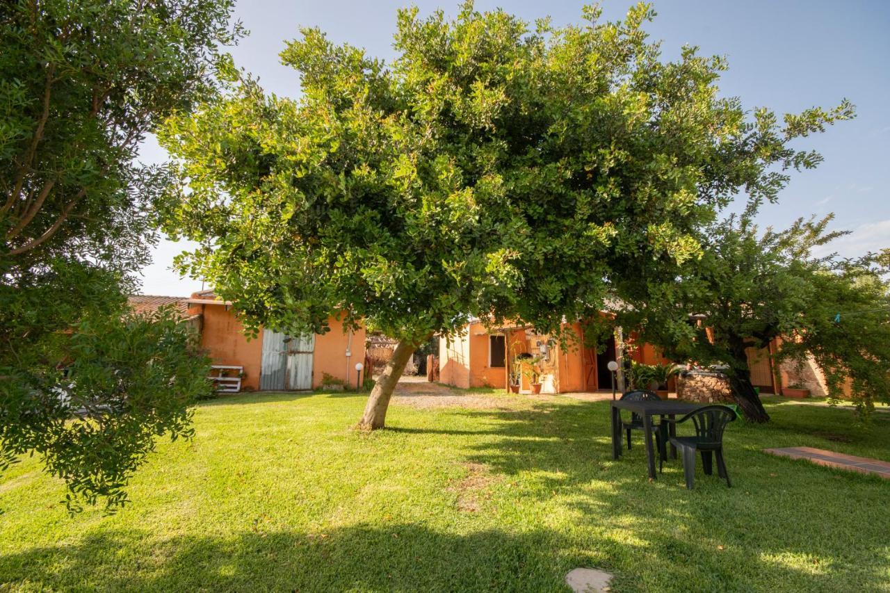 Is Cuccus Bed & Breakfast Masainas Ngoại thất bức ảnh